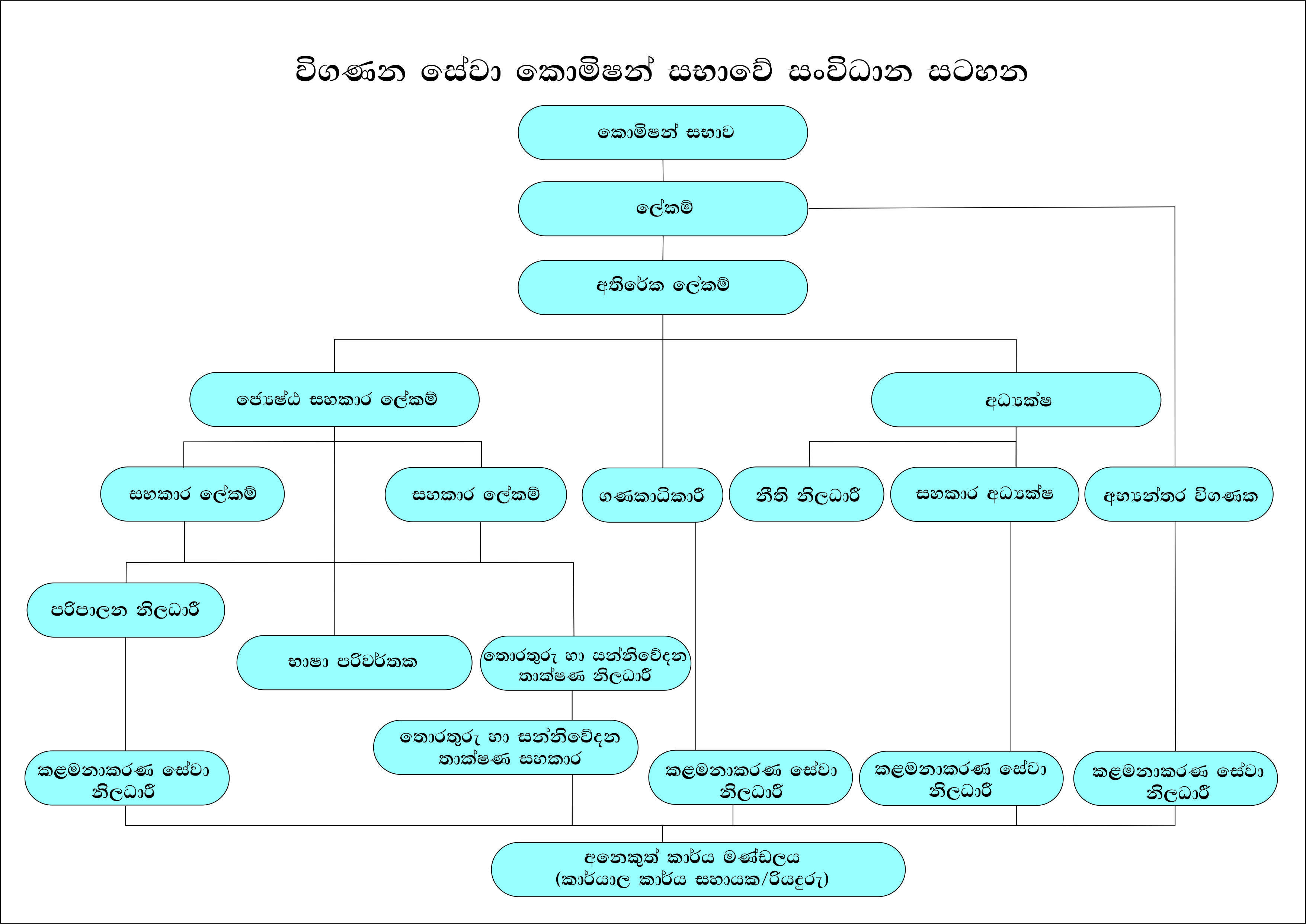 organization chart en